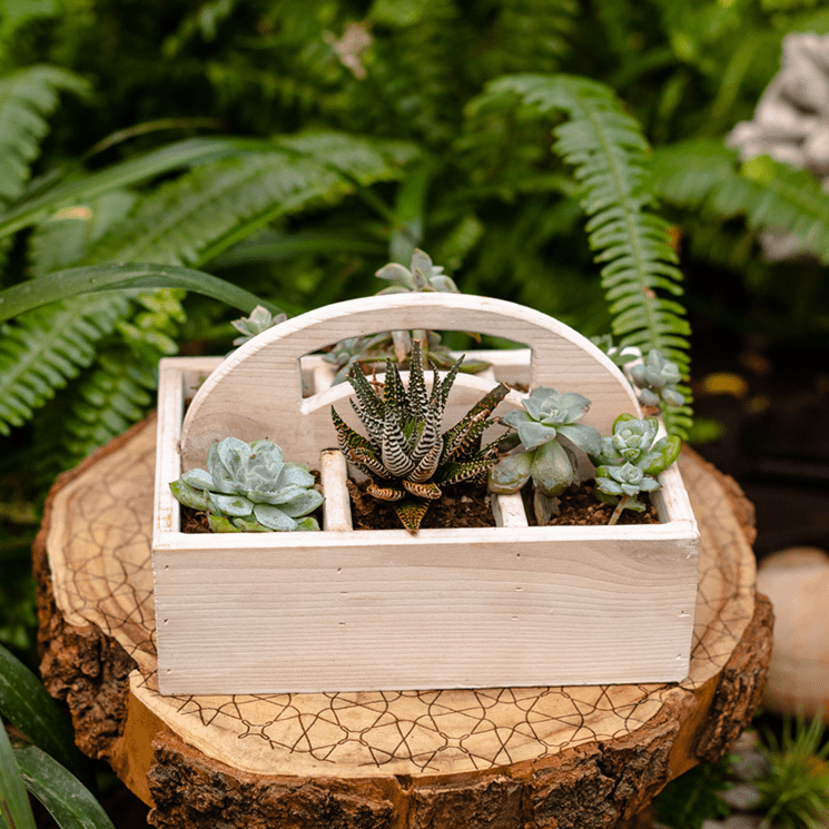Solid wood caddy with carry handle, view 6